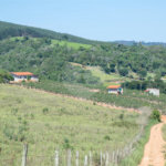 Sítio à venda no Centro, Morungaba, SP