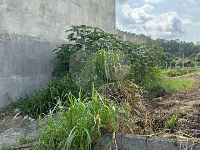 Terreno à venda em Laranjeiras, Caieiras, SP