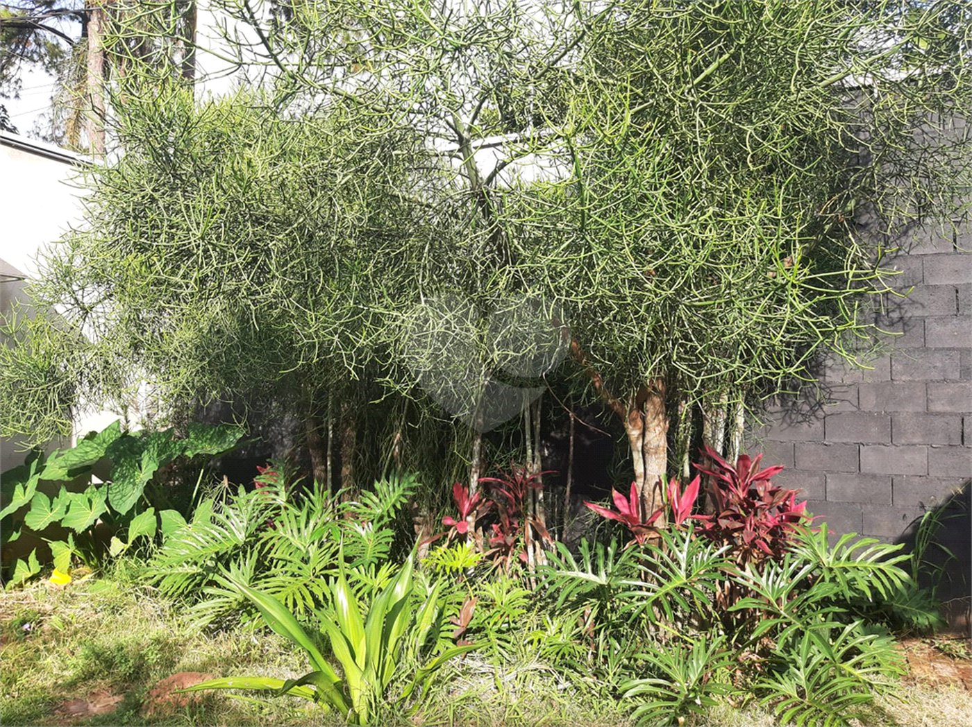 Terreno à venda em Tucuruvi, São Paulo, SP