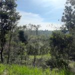 Terreno à venda em São Vicente, Mairiporã, SP