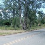 Área de Terra à venda em Monte Alegre, Vinhedo, SP