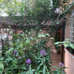 Casa Térrea à venda com 3 quartos em Chácara Santo Antônio (zona Sul), São Paulo, SP