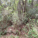 Terreno à venda no condomínio Alpes da Cantareira, Mairiporã - SP