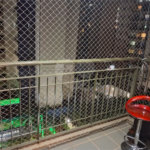Apartamento à venda com 3 quartos, sendo 1 suíte,  em Santa Cruz do José Jacques, Ribeirão Preto, SP