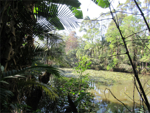 Terreno à venda em Chácara Flora, São Paulo, SP