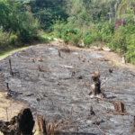 Terreno à venda em Rio Acima, Mairiporã, SP