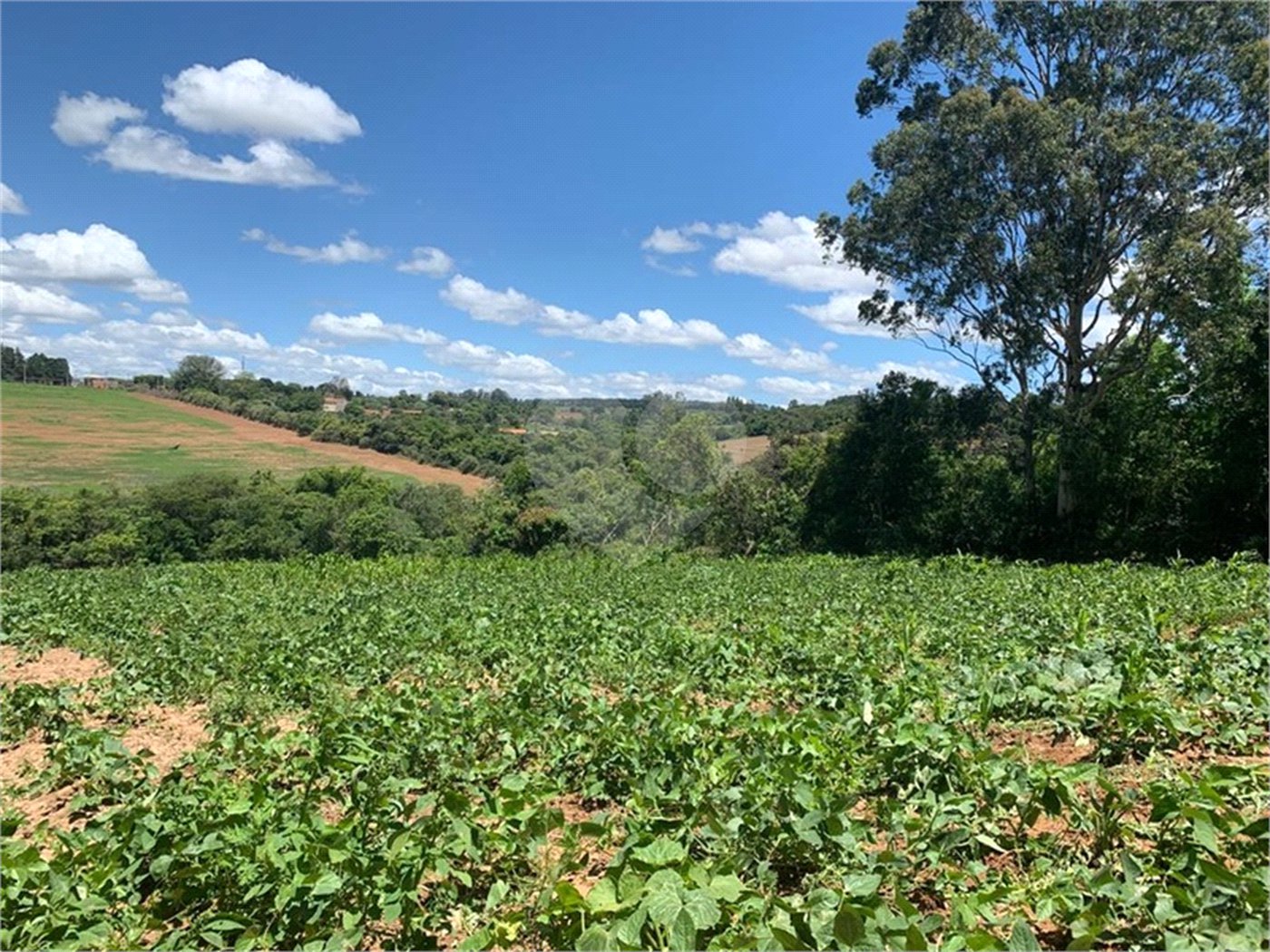 Área de Terra à venda em Cristóvão, Araçoiaba da Serra, SP