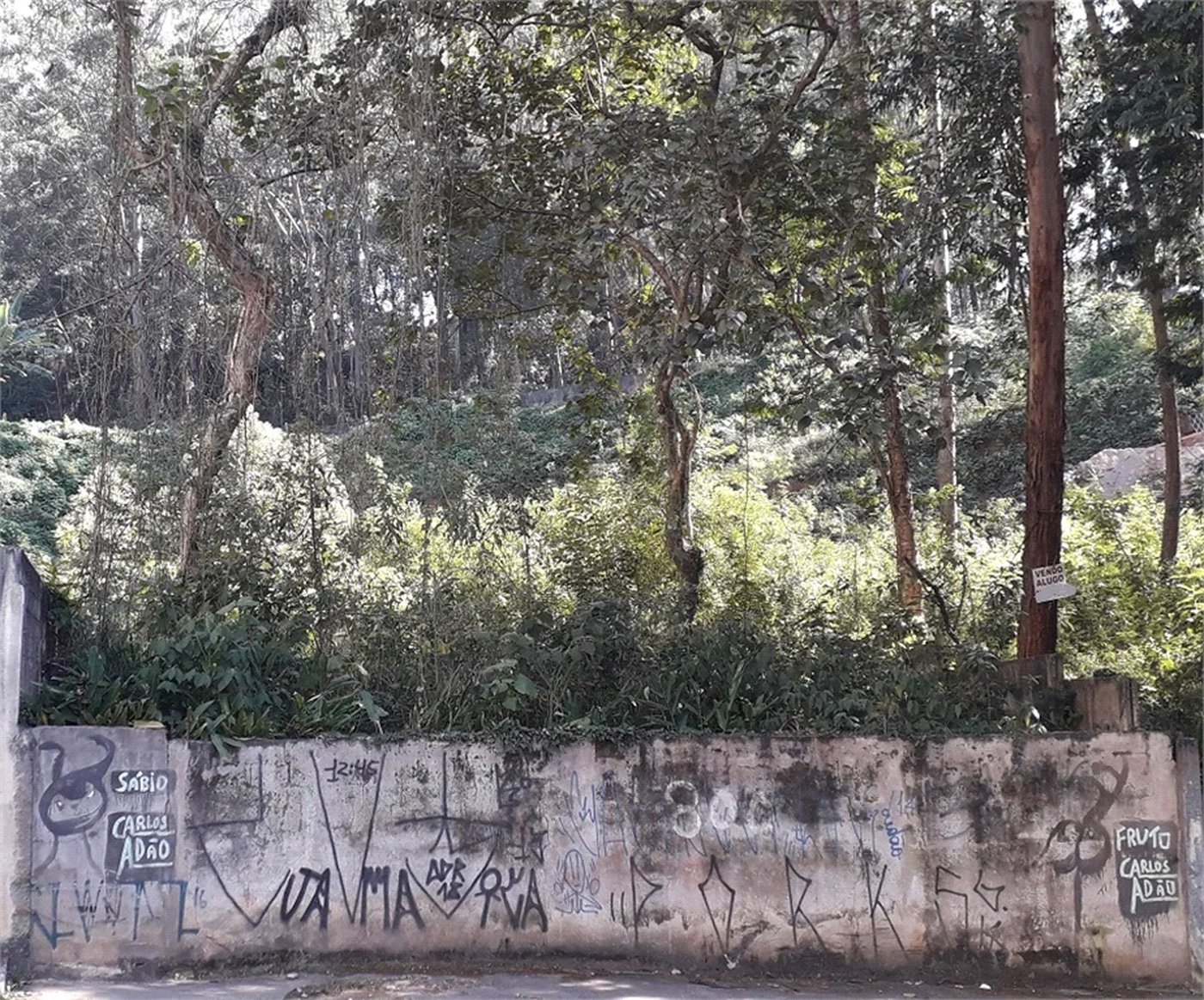 Terreno à venda em Vila Andrade, São Paulo, SP