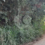 Terreno à venda em Luiz Fagundes, Mairiporã, SP