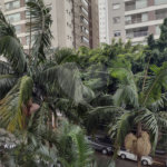Apartamento à venda com 3 quartos, sendo 1 suíte, em Casa Verde, São Paulo, SP