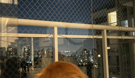 Apartamento à venda com 4 quartos, sendo 3 suítes, em Vila Andrade, São Paulo, SP