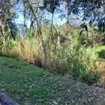Terreno à venda no condomínio Alpes da Cantareira, Mairiporã - SP