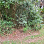 Terreno à venda no condomínio Cantareira, Mairiporã - SP