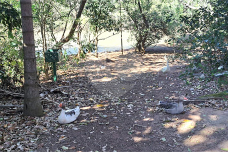 Terreno à venda no Parque Fehr – Segurança, qualidade de vida e natureza em perfeita harmonia!