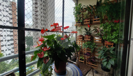Apartamento à venda com 3 quartos, sendo 1 suíte,  em Real Parque, São Paulo, SP