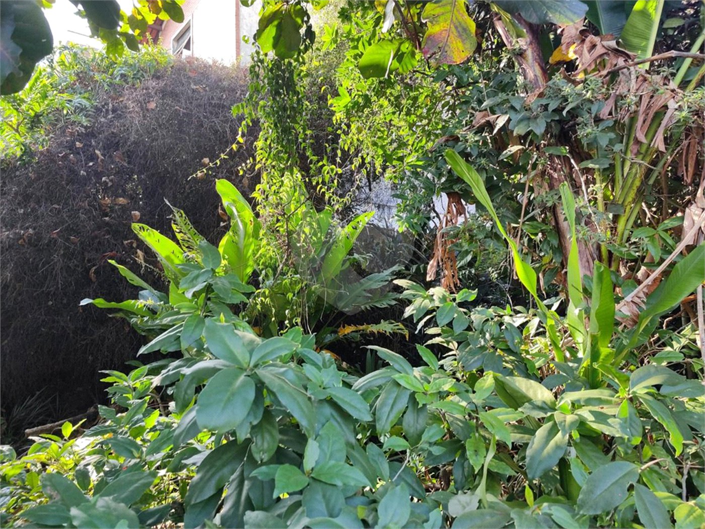 Terreno à venda em Tucuruvi, São Paulo, SP