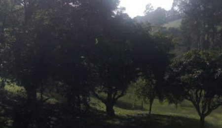 Sítio com 10 dormitórios à venda, 120000 m² por R$ 1.650.000,00 - Bairro Carmo Messias - Ibiúna/SP