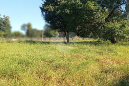 Terreno à venda em Santa Claudina, Vinhedo, SP