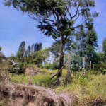 Terreno à venda em Pouso Alegre, Mairinque, SP