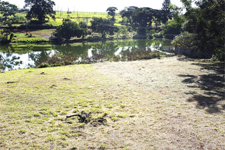 Terreno à venda no condomínio Garden Villa Rp, Ribeirão Preto - SP