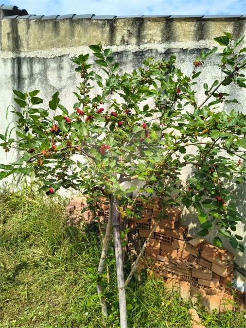 Terreno à venda em Campo Grande, Rio de Janeiro, RJ