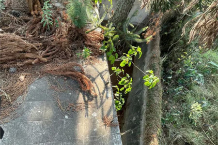 Casa à venda com 3 quartos, sendo 1 suíte, em Jardim Panorama, São Paulo, SP