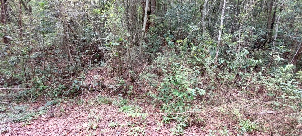 Terreno à venda no condomínio Alpes da Cantareira, Mairiporã - SP
