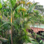 Sobrado à venda com 4 quartos, sendo 2 suítes,  em Jardim Morumbi, São Paulo, SP