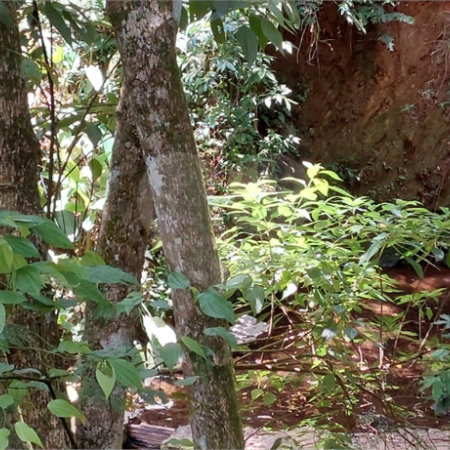 Terreno à venda em Vila Santo Antônio, São Roque, SP