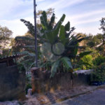 Terreno à venda em Tucuruvi, São Paulo, SP