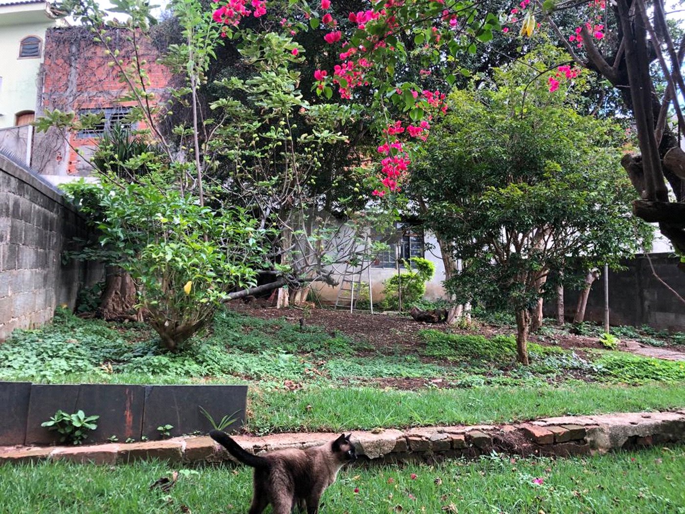 Sobrado à venda com 3 quartos, sendo 1 suíte, em Vila Mariza Mazzei, São Paulo, SP