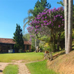 Sítio à venda com 6 quartos, sendo 5 suítes,  em Curral, Ibiúna, SP