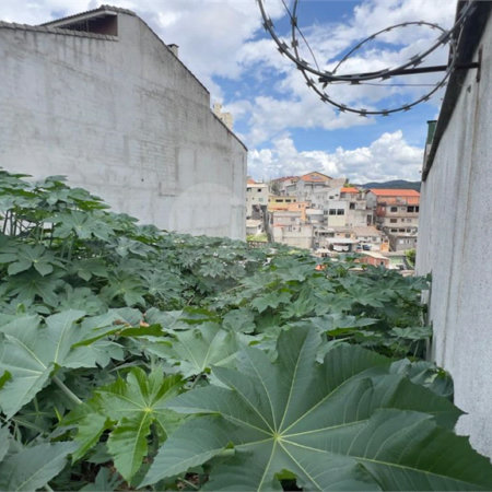 Terreno à venda em Jardim Guapira, São Paulo, SP