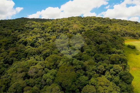 Terreno à venda em Gabriel Piza, São Roque, SP