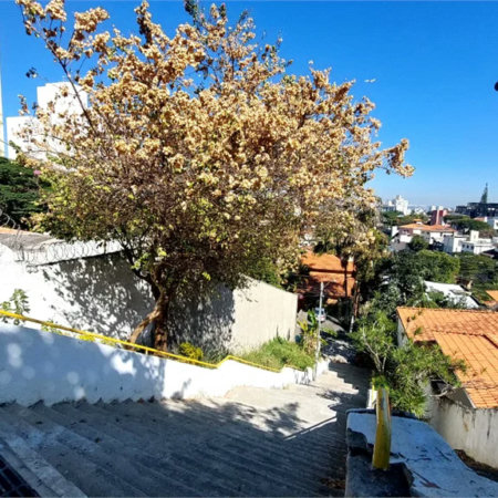 Casa à venda com 3 quartos em Sumarezinho, São Paulo, SP