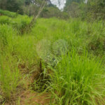 Terreno à venda em Vila Moraes, Mogi das Cruzes, SP