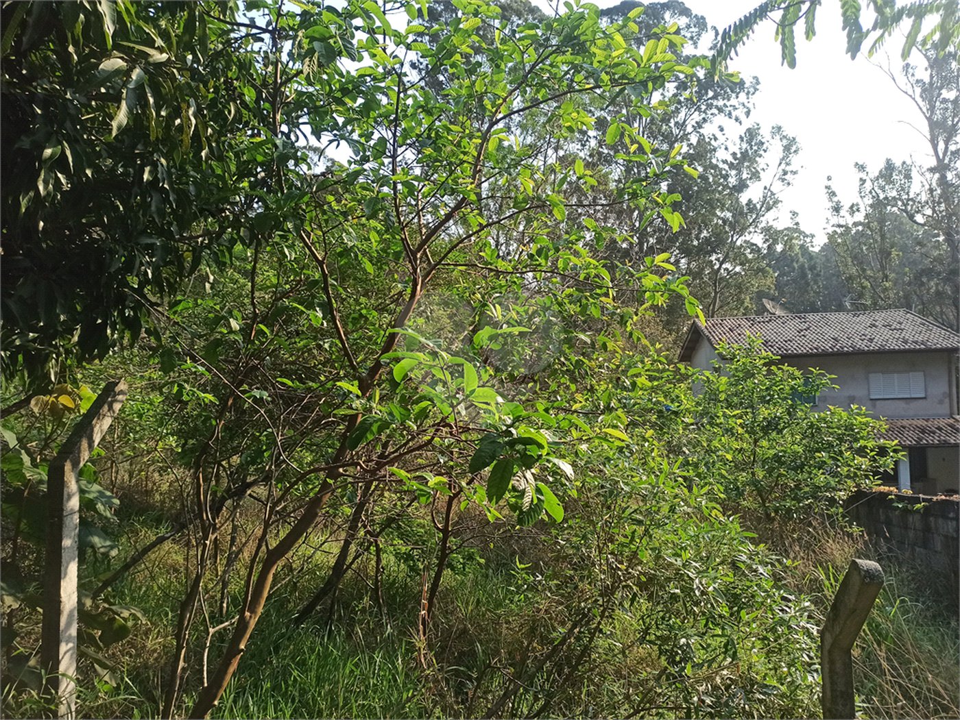 Terreno à venda em Bosque dos Eucalíptos, Atibaia, SP