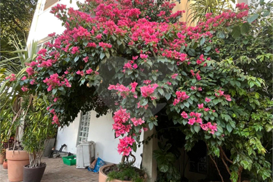 Casa à venda com 3 suítes no condomínio Domus, São Paulo - SP