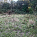 Terreno à venda em Vila Darcy Penteado (mailasqui), São Roque, SP