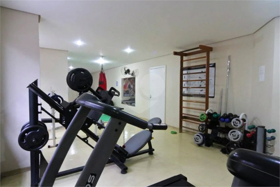 Apartamento à venda com 3 quartos em Vila Nova Cachoeirinha, São Paulo, SP