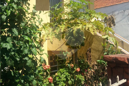 Sobrado à venda com 3 quartos em Tucuruvi, São Paulo, SP