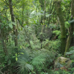 Terreno à venda no condomínio Sausalito, Mairiporã - SP