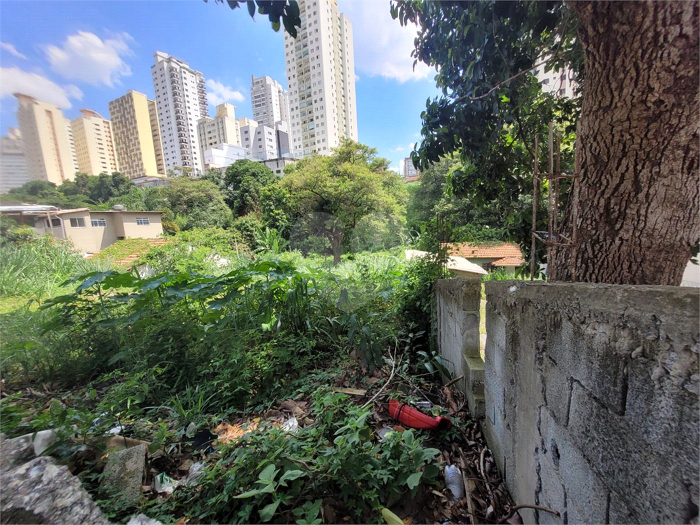 Terreno à venda com 1 quarto em Água Fria, São Paulo, SP