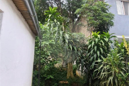 Sobrado à venda com 5 quartos em Vila Germinal, São Paulo, SP