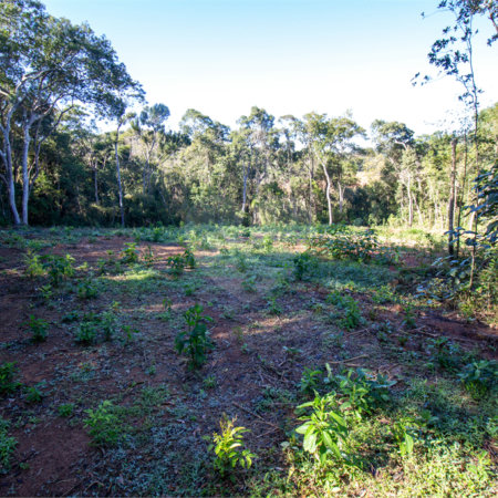 Terreno à venda no Centro (canguera), São Roque, SP