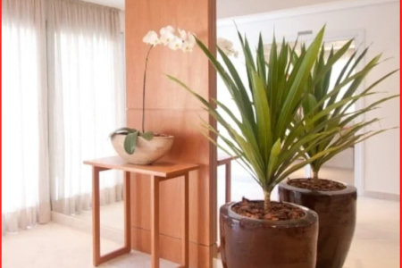 Apartamento à venda com 2 suítes em Jardim Monte Kemel, São Paulo, SP