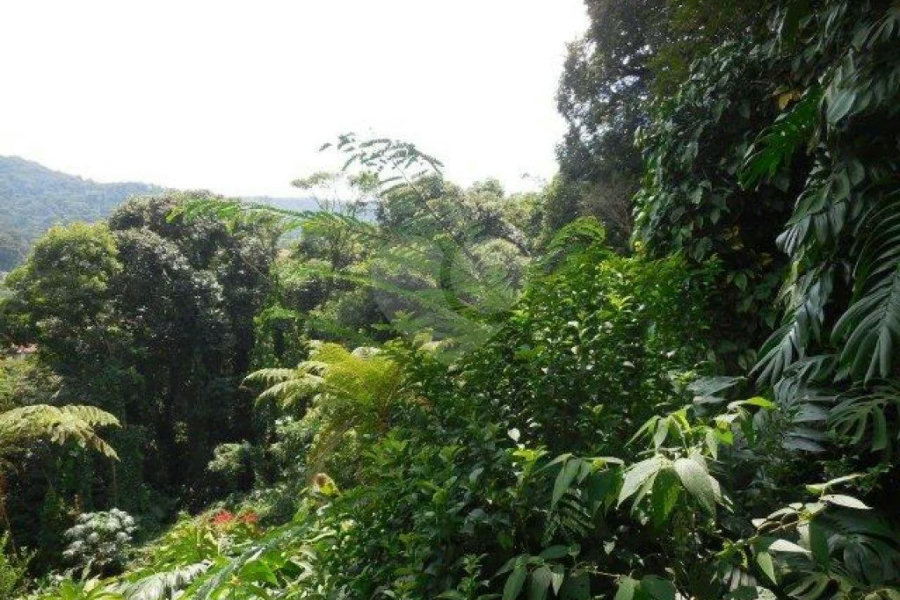 Casa à venda com 6 quartos, sendo 1 suíte, em Tremembé, São Paulo, SP
