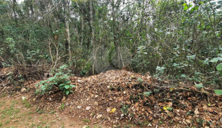 Terreno à venda no condomínio Sausalito, Mairiporã - SP