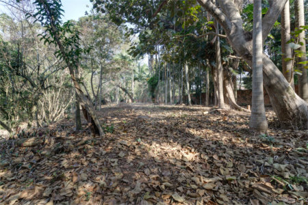 Casa à venda com 1 quarto no condomínio Chácara Flora, São Paulo - SP
