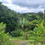 Terreno à venda em Parque dos Cafezais III, Itupeva, SP